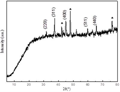 Facile Synthesis of Cobalt Oxide as an Efficient Electrocatalyst for Hydrogen Evolution Reaction